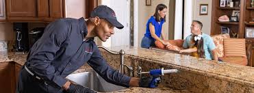 Best Pest Exclusion Services  in Old Town, ME